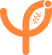 Youth Impact logo